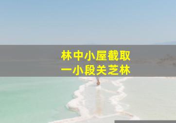 林中小屋截取一小段关芝林