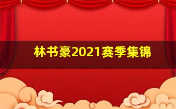 林书豪2021赛季集锦