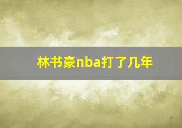 林书豪nba打了几年