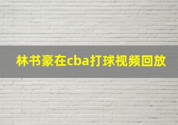 林书豪在cba打球视频回放