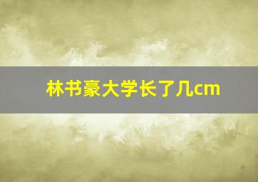 林书豪大学长了几cm