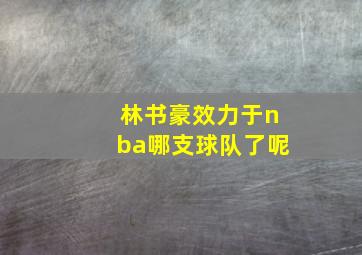 林书豪效力于nba哪支球队了呢