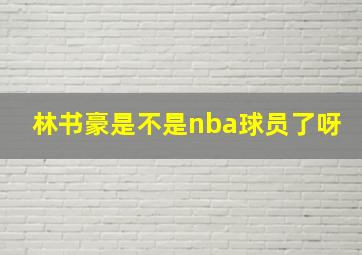 林书豪是不是nba球员了呀