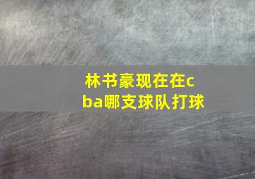 林书豪现在在cba哪支球队打球