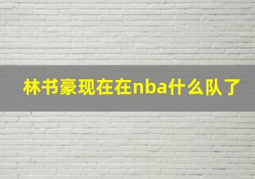 林书豪现在在nba什么队了