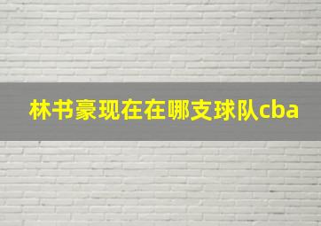 林书豪现在在哪支球队cba