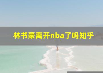 林书豪离开nba了吗知乎