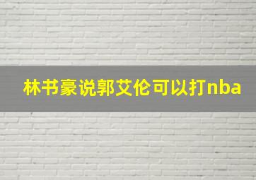 林书豪说郭艾伦可以打nba