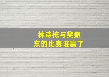 林诗栋与樊振东的比赛谁赢了