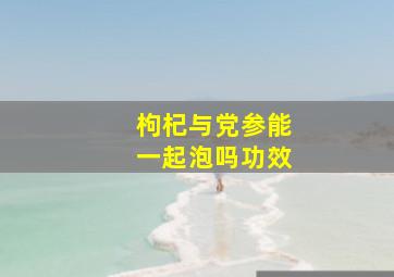 枸杞与党参能一起泡吗功效