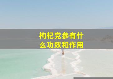 枸杞党参有什么功效和作用