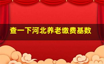 查一下河北养老缴费基数