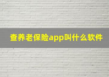 查养老保险app叫什么软件