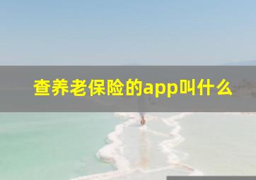 查养老保险的app叫什么