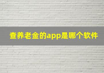 查养老金的app是哪个软件