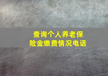 查询个人养老保险金缴费情况电话