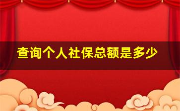 查询个人社保总额是多少