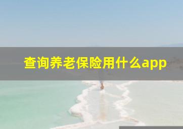 查询养老保险用什么app