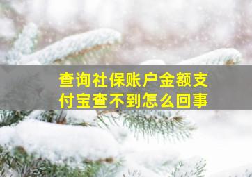 查询社保账户金额支付宝查不到怎么回事