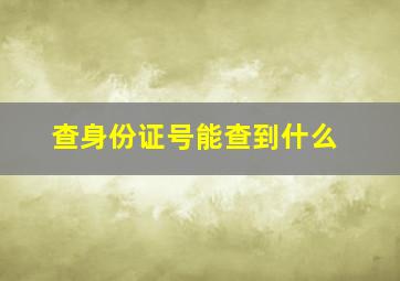 查身份证号能查到什么