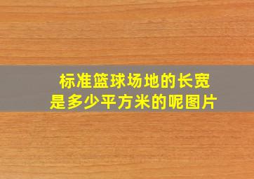 标准篮球场地的长宽是多少平方米的呢图片