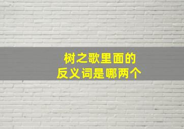 树之歌里面的反义词是哪两个