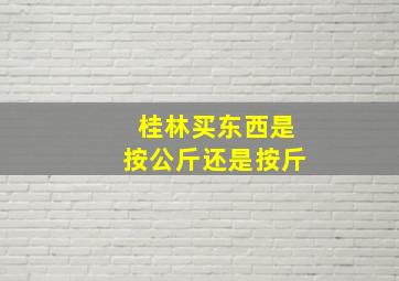 桂林买东西是按公斤还是按斤