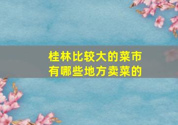 桂林比较大的菜市有哪些地方卖菜的