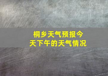 桐乡天气预报今天下午的天气情况