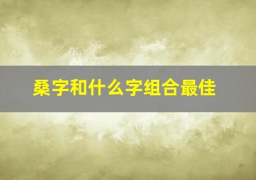 桑字和什么字组合最佳