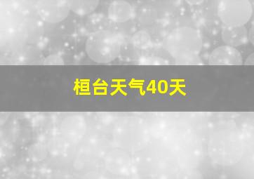 桓台天气40天