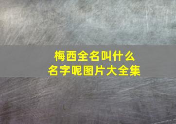 梅西全名叫什么名字呢图片大全集