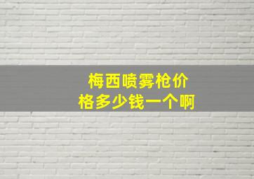 梅西喷雾枪价格多少钱一个啊