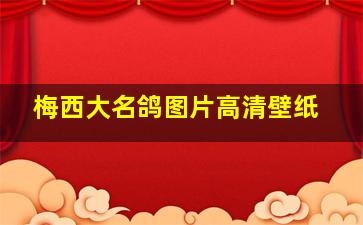 梅西大名鸽图片高清壁纸