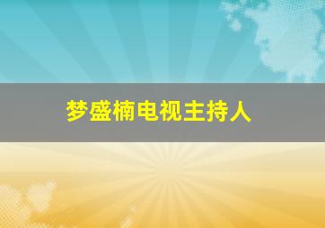 梦盛楠电视主持人