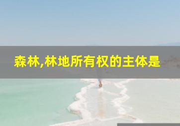 森林,林地所有权的主体是