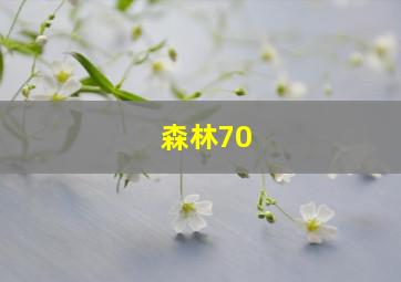 森林70