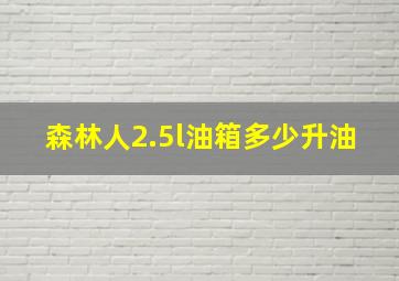 森林人2.5l油箱多少升油