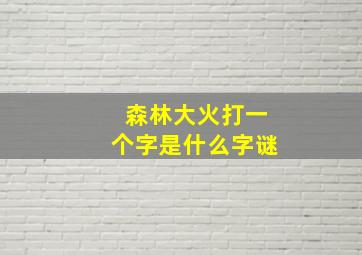 森林大火打一个字是什么字谜