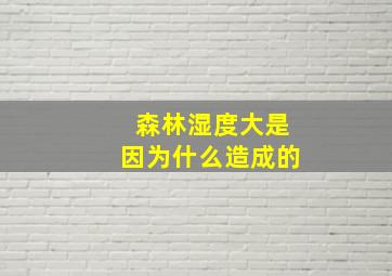 森林湿度大是因为什么造成的