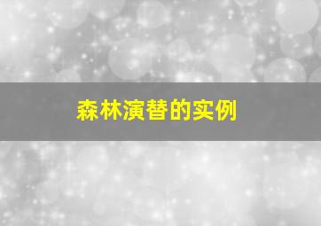 森林演替的实例