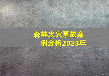 森林火灾事故案例分析2023年