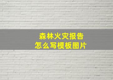 森林火灾报告怎么写模板图片