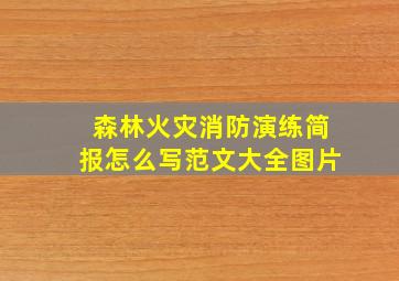 森林火灾消防演练简报怎么写范文大全图片