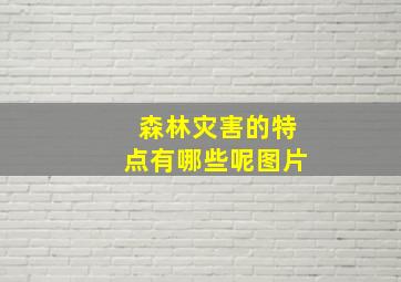 森林灾害的特点有哪些呢图片