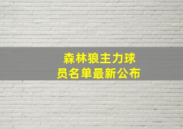 森林狼主力球员名单最新公布