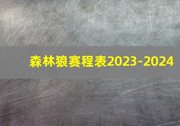 森林狼赛程表2023-2024