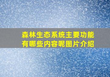 森林生态系统主要功能有哪些内容呢图片介绍