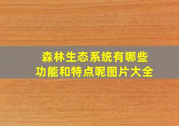 森林生态系统有哪些功能和特点呢图片大全