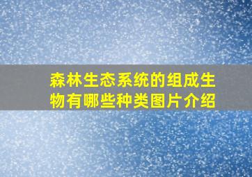 森林生态系统的组成生物有哪些种类图片介绍